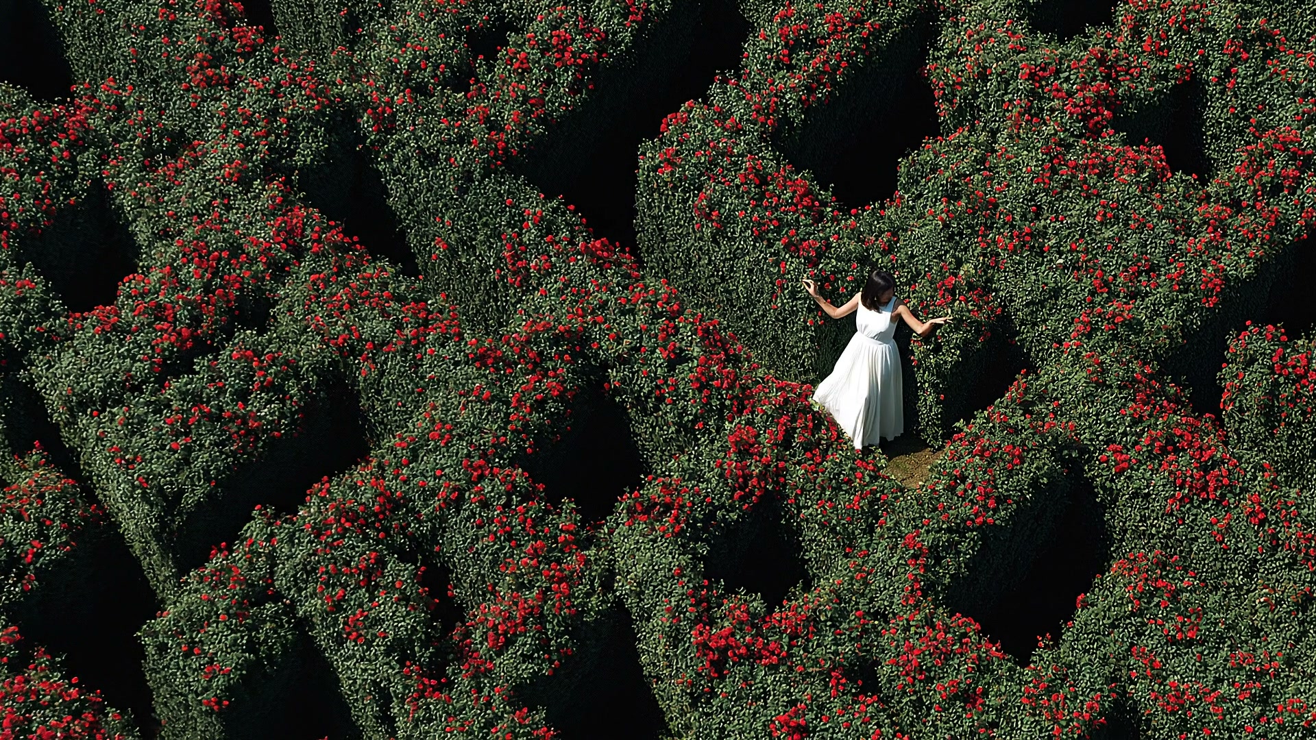 STAGES interstitial — VEO3 22